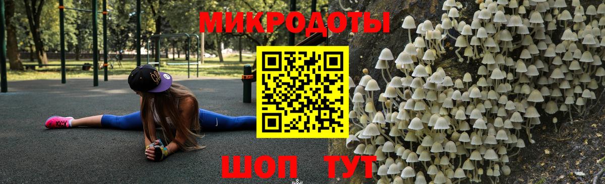 Псилоцибиновые грибы Cubensis Сальск