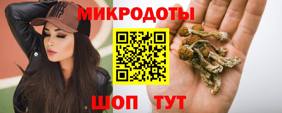 Сальск  Псилоцибиновые грибы Magic Shrooms  Галлюциногенные грибы мухоморы  Вход с VPN 